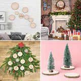 Maputune 8 Pcs 6-7 in Large Unfinished Wood Slices for Centerpieces, Natural Rustic Wooden Plate for DIY Craft, Round Wood Chips for Signage Painting Maputune