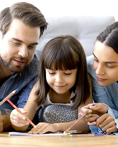 COLOUR BLOCK Watercolor Pencil Set 24PC with Premium Cedar Handle I Ideal pencil kit for Drawing, Sketching, Coloring and Painting COLOUR BLOCK