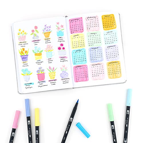 Tombow 56187 Dual Brush Pen Art Markers, Pastel, 10-Pack. Blendable, Brush and Fine Tip Markers Tombow