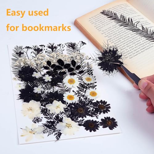 12 Types 48PCS Real Dried Pressed Flowers for Resin, Leaf Plant Herbarium for Jewelry Making Craft (Black and White) - WoodArtSupply