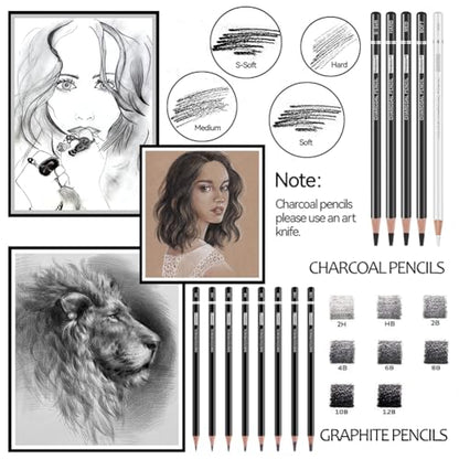 PANDAFLY Drawing Sketching Pencil Set, 22 Piece Pro Art Pencil Kit - Graphite Pencils (12B-2H), Black and White Charcoal Pencils, Charcoal Sticks, - WoodArtSupply