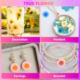 96Pcs Dried Flowers for Resin, Bulk Natural Dried Pressed Flowers,for Scrapbooking DIY Art Crafts Resin Accessories, Soap,Candle Making, Nails Decor, Kaddmedia