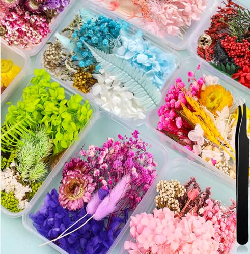 Dried Pressed Flowers Mixed Box for Resin Random, with 1 Tweezers, Real Natural Dry Mixed Flowers Leaves Bulk Herbs Kit for Scrapbooking DIY Art - WoodArtSupply