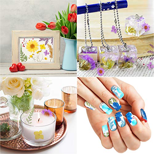 Nuanchu 109 Pieces Dried Pressed Flowers for Resin, Natural Pressed Dry Flowers Leaves Mixed Multiple Dried Flowers with Tweezer for DIY Art Nuanchu