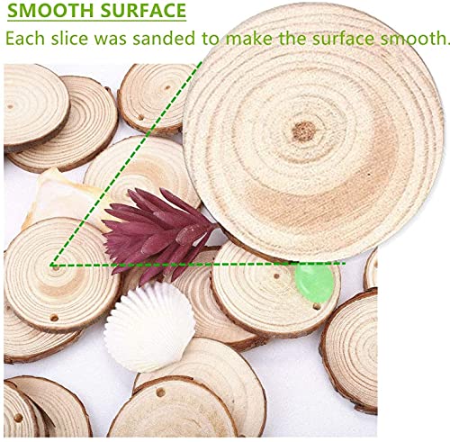 Natural Wood Slices TICIOSH Craft Unfinished Wood kit Predrilled with Hole Wooden Circles for DIY Crafts Wedding Decorations Christmas Ornaments Arts