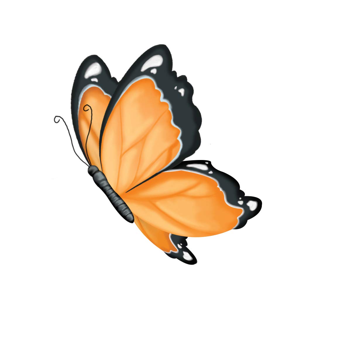 Creativity for Kids Grow 'N Glow Terrarium Kit for Kids - Educational Science Kits Ages 6-8+, Kids Gifts for Boys and Girls, Craft and STEM Projects Creativity for Kids