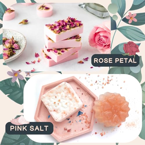 Handmade Soap Making Kit Supplies, DIY Melt & Pour Soap Making Kit for Adults: Includes 2lbs Soap Base, Dried Flowers, Pigment, Silicon Mold, Tassika