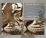 Longer 10W Laser Engraver Module, Dual Beam Compressed 0.06mm Laser Spot, DIY laser head for Laser Engraver, 10,000mm/min Engraving Speed, Eye Longer