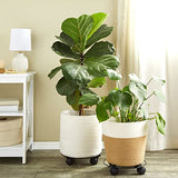 Bright Creations 4 Pack Metal Rolling Plant Stand Base, Planter Caddy with Wheels for Indoor and Outdoor Pots (10.6 Inches) Bright Creations