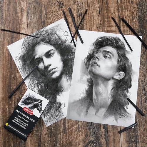 PANDAFLY Willow Charcoal Sticks, Soft, Black Artist Vine Charcoal for Artists, Beginners, Students, Great for Sketching, Drawing, Shading and Fine PANDAFLY