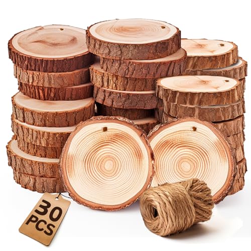 Coasters Wood Slices Burning Kit :Unfinished Natural Crafts with Bark 30 Pcs 2.4-2.8 inch Hemp Rope Suspension Hole Kids DIY Arts Christmas Ornament - WoodArtSupply