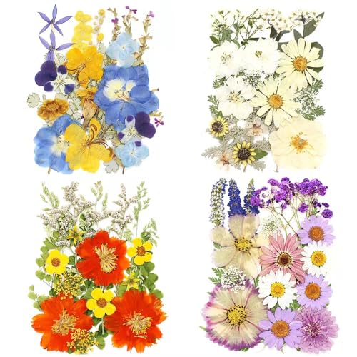 Buzidao Dried Pressed Flowers, 80Pcs Real Natural Pressed Flowers for Resin DIY Crafts Nail Art Candle Jewelry Making, Real Dried Pressed Flowers, Buzidao