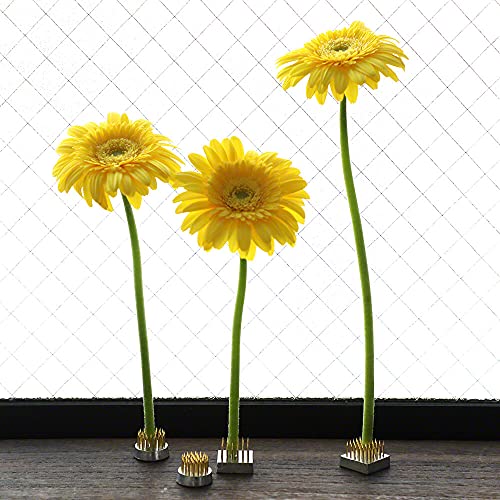 Wazakura 4PCS Mini Ikebana Kenzan Japanese Flower Holder, Made in Japan, Floral Arranging Pin Frog, Round Square - 1"(24mm) Brass Wazakura