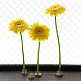 Wazakura 4PCS Mini Ikebana Kenzan Japanese Flower Holder, Made in Japan, Floral Arranging Pin Frog, Round Square - 1"(24mm) Brass Wazakura