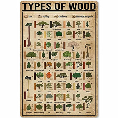 JIUFOTK Carpenter Poster Metal Tin Sign Types of Wood Knowledge Infographics School Home Kitchen Club Education Posters for Walls 12x17 Inches JIUFOTK