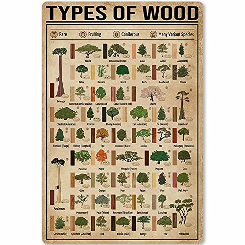 JIUFOTK Carpenter Poster Metal Tin Sign Types of Wood Knowledge Infographics School Home Kitchen Club Education Posters for Walls 12x17 Inches - WoodArtSupply