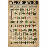 JIUFOTK Carpenter Poster Metal Tin Sign Types of Wood Knowledge Infographics School Home Kitchen Club Education Posters for Walls 12x17 Inches JIUFOTK