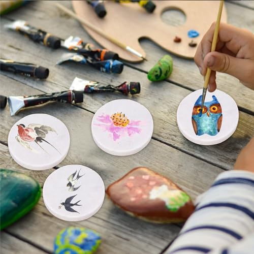 2inch White Round Painting Rocks, DIY Flat Stones for Painting, Hand Picked Natural Smooth Rocks for Arts Crafts Decoration Party Home, 25pcs SnowTing