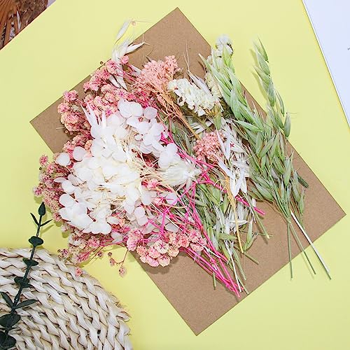 Real Dried Flowers, Natural Dry Flowers Mixed Natural Pressed Flowers Flores Secas Dried Florals for Crafts,Resin,Candle Making (Pink and White) auroray