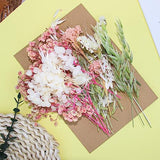 Real Dried Flowers, Natural Dry Flowers Mixed Natural Pressed Flowers Flores Secas Dried Florals for Crafts,Resin,Candle Making (Pink and White) auroray