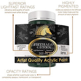 MyArtscape Acrylic Paint Set - 12 x 300ml Bottles - Lightfast - Heavy Body - Rich Pigments - Artist Quality Painting Supplies - Professional Grade MyArtscape