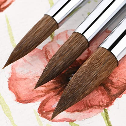 Kolinsky Sable Watercolor Brushes Set 9pcs Round Detail Pointed Tip Paint  Brush for Watercolor Acrylics Inks 