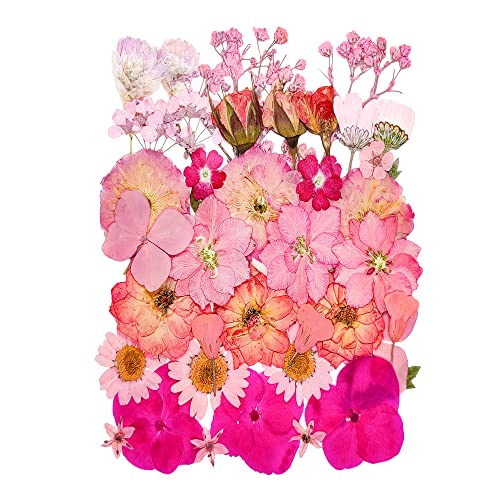 15 Types 37pcs Pink Dried Pressed Flowers for Resin Molds,Real Natural Pressed Flowers for DIY Art Crafts,Candle Making, Nails Décor,Soap Making, - WoodArtSupply