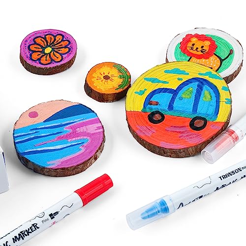 TRANSON 36 Color Dual-tip Acrylic Paint Pen Set for Canvas Rock Wood Leather Ceramic DIY Painting TRANSON