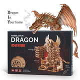 iDventure DIY Wooden Marble Run Dragon - 3D Mechanical Puzzle Kit for Adults & Teens iDventure