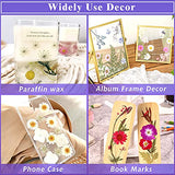 120 PCS Dried Flowers for Resin Molds, Natural Pressed Flowers Leaves Herbs kit with Tweezers for DIY Art Crafts, Candle,Jewelry Making, Scrapbook Cruzix