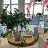 Wilson Basswood Round/Oval Plaque - Bulk Quantity Value Box Wood Slices, Medium 7-9" D (Pack of 10) Wilson