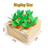 Wooden Toys for 1 2 3 Year Old Baby Boys and Girls, Montessori Toy Carrot Harvest Game Shape & Sorting Matching Puzzle, Educational Developmental Skrtuan