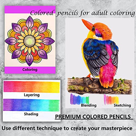 KALOUR Premium Colored Pencils,Set of 120 Colors,Artists Soft Core with Vibrant Color,Ideal for Drawing Sketching Shading,Coloring Pencils for Adults KALOUR