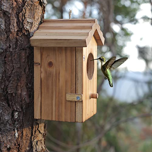 Hummingbird House for Outside Hanging Small Bird Nesting Box - Wood Nest for Robin, Hummingbird, Parakeet, Bluebird - Perch House for Outdoors NATUREYLWL