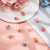 SUNNYCLUE 1 Box 10Pcs 5 Styles Dried Flower Charms Transparent Clear Epoxy Resin Pendants with Brass Hole 1.2mm Glass Micro Beads for DIY Earrings SUNNYCLUE