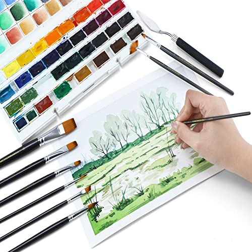 Transon Paint Brush Kit 10pcs Art Brushes and 1 Paint Spatula with Brush Case TRANSON