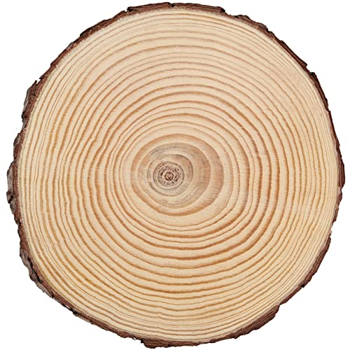 JEUIHAU 6 PCS 7-8 Inches Natural Unfinished Wood Slices, Round Wooden Tree Bark Discs, Wooden Circles for DIY Crafts, Christmas, Rustic Wedding - WoodArtSupply