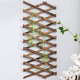 Iceyyyy Wood Lattice Wall Planter - Expandable Hanging Wooden Planter Trellis Frame, Indoor Air Plant Vertical Rack Wall Decor for Room Garden Iceyyyy