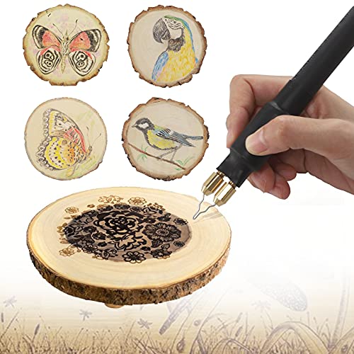 Professional Wood Burning Kit, Wandart 60W Wood Burning Tool  Pyrography Kit with Dual Wood Burner 20 Woodburning Wire Nibs Tips  including Ball Tips and 5PCS Stencils : Arts, Crafts & Sewing