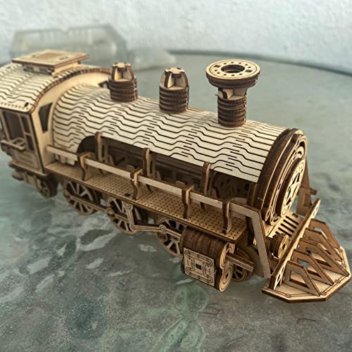 Express Train - DIY 3D Wooden Puzzle Model Kit - Laser Cut Wooden Puzzle Craft Kit, Brain Teaser Educational Building Model Toy for Kids -Mechanical ROEOLNIL