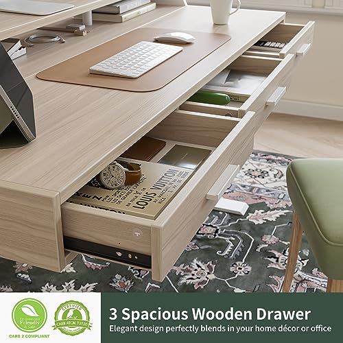 FEZIBO Electric Standing Desk with Drawers, 48x24 Inch Standing Desk Adjustable Height, Stand Up Desk with Monitor Shelf, Sit Stand Home Office Desk, FEZIBO