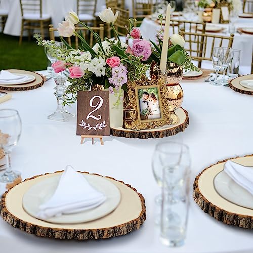 Wood Slices 8-9 Inch 6 Pcs Wood Rounds Unfinished Wood Circles Wood Slices for Centerpieces,Wood Centerpieces for Tables,Wood Slices for ZKHOB