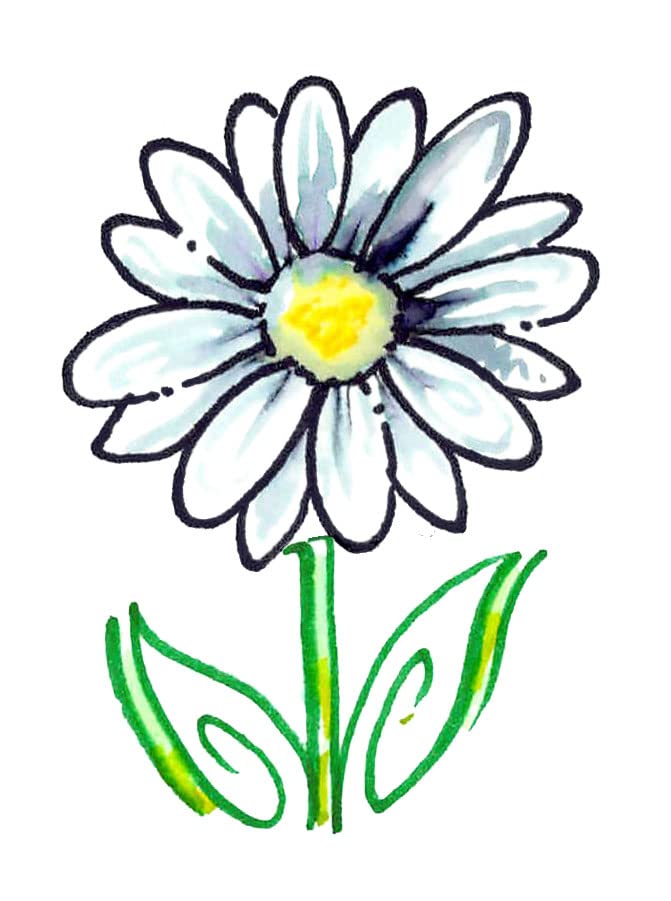 Speedball Textbook Project Kit, Includes 1.3 mm, 2.0 mm, and 3.0 mm Elegant Writer Calligraphy Markers Chisel Nib Tip Pens for Drawing, Journaling, Speedball