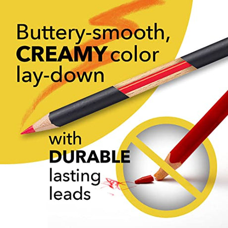Castle Art Supplies 72 Colored Pencils Zipper-Case Set | Quality Soft Core Colored Leads for Adult Artists, Professionals and Colorists | In Neat, Castle Art Supplies