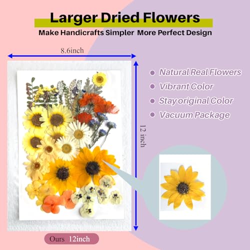 ZQmino A4 Large Dried Pressed Flowers for Resin Sunflower Pressed Flowers Real Dry Natural Flowers Leaves for Resin Mold Cake Candle Making Phone ZQmino