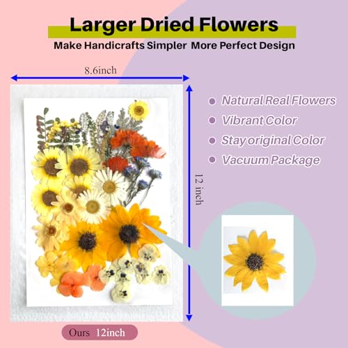 ZQmino A4 Large Dried Pressed Flowers for Resin Sunflower Pressed Flowers Real Dry Natural Flowers Leaves for Resin Mold Cake Candle Making Phone - WoodArtSupply