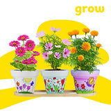 Cast, Paint & Plant Kit for Kids & Teens - Birthday Gift Ideas for Girls & Boys Age 8-14 Year Old Tween Girl Christmas - STEM Teenage Crafts Gifts Dan&Darci