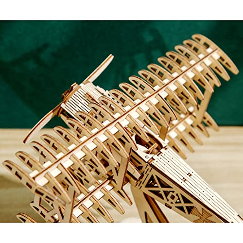 3D Wooden DIY Ferris Wheel Puzzle Kit - Perfect Educational Gift for All Ages ROEOLNIL