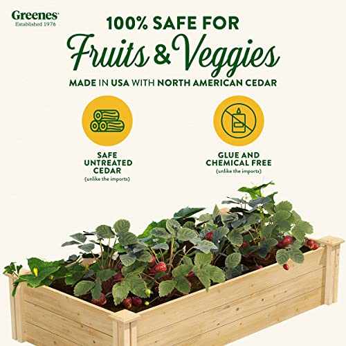 Greenes Fence Original Cedar Raised Garden Bed, 2' x 4' x 10.5" - Made in USA with North American Cedar