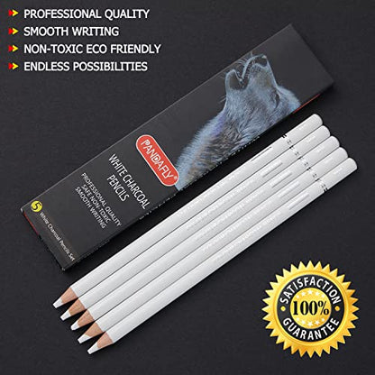 PANDAFLY 8 Pieces Super Soft, Soft, Medium and Hard Charcoal Pencils 5 Pieces White Charcoal Pencils Drawing Set - WoodArtSupply